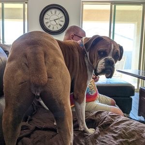 Meet your Posher, Jennifer